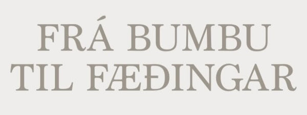 FRÁ BUMBU TIL FÆÐINGAR