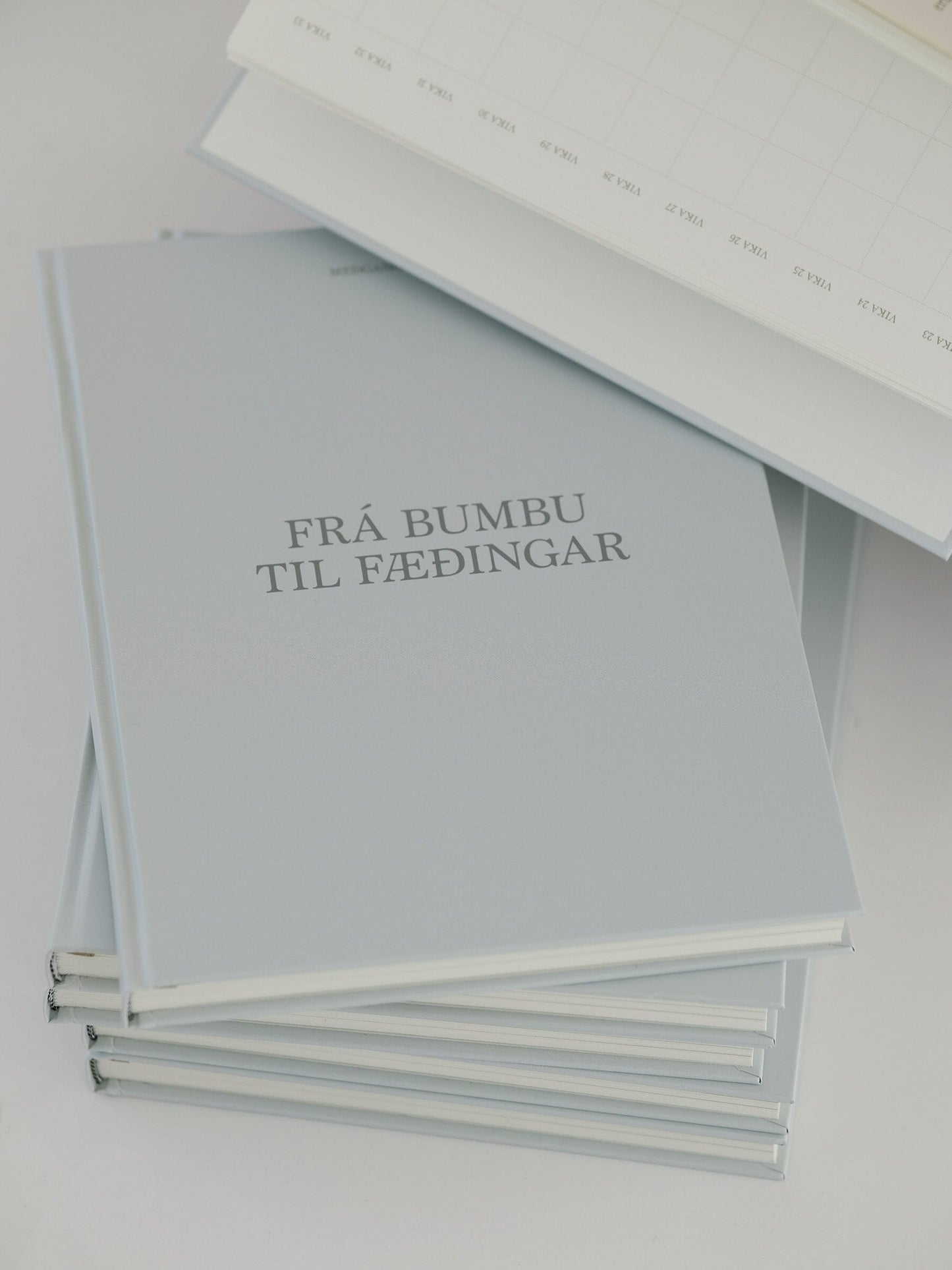 Meðgöngudagbók - FRÁ BUMBU TIL FÆÐINGAR