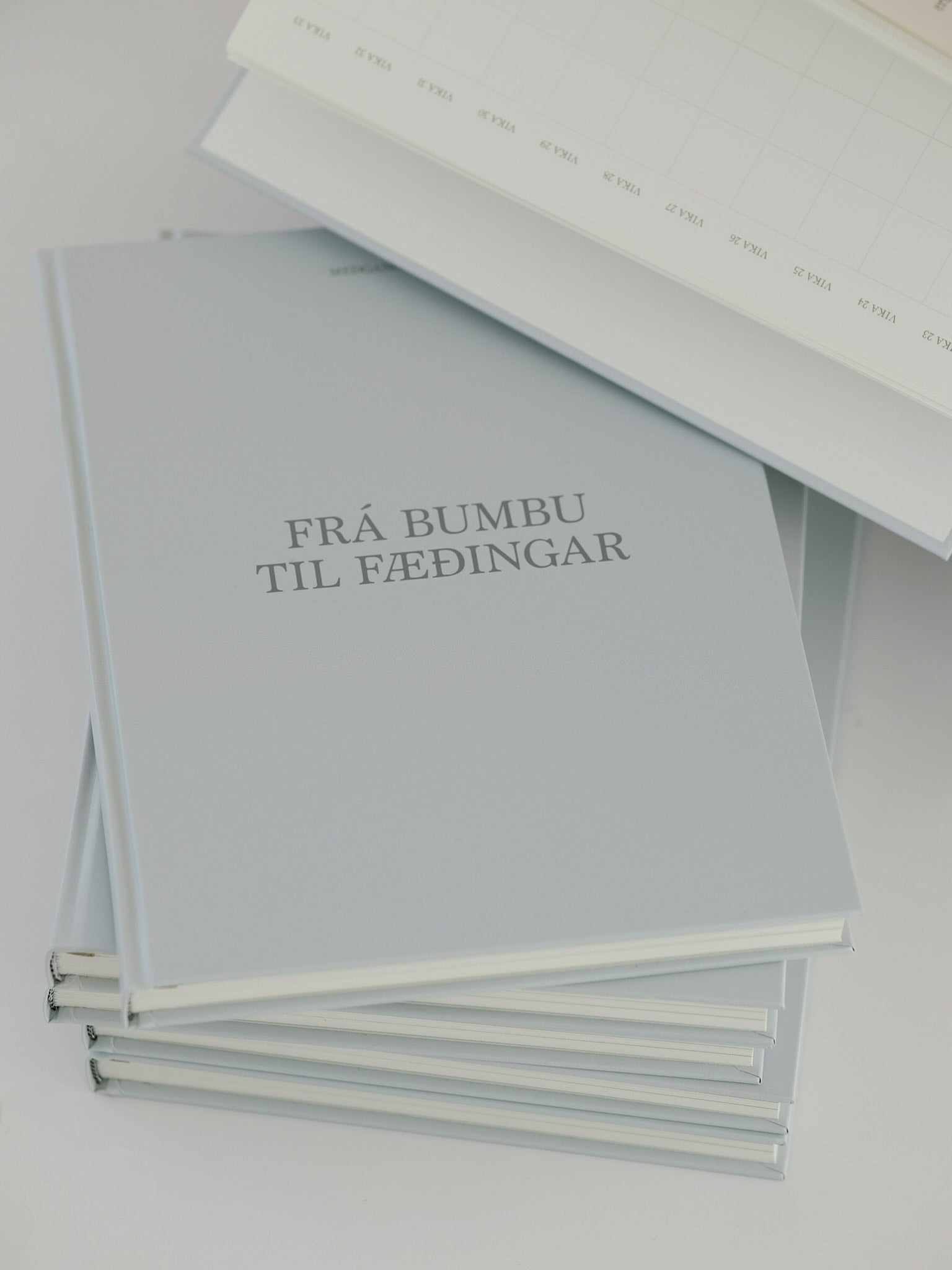 Meðgöngudagbók - FRÁ BUMBU TIL FÆÐINGAR