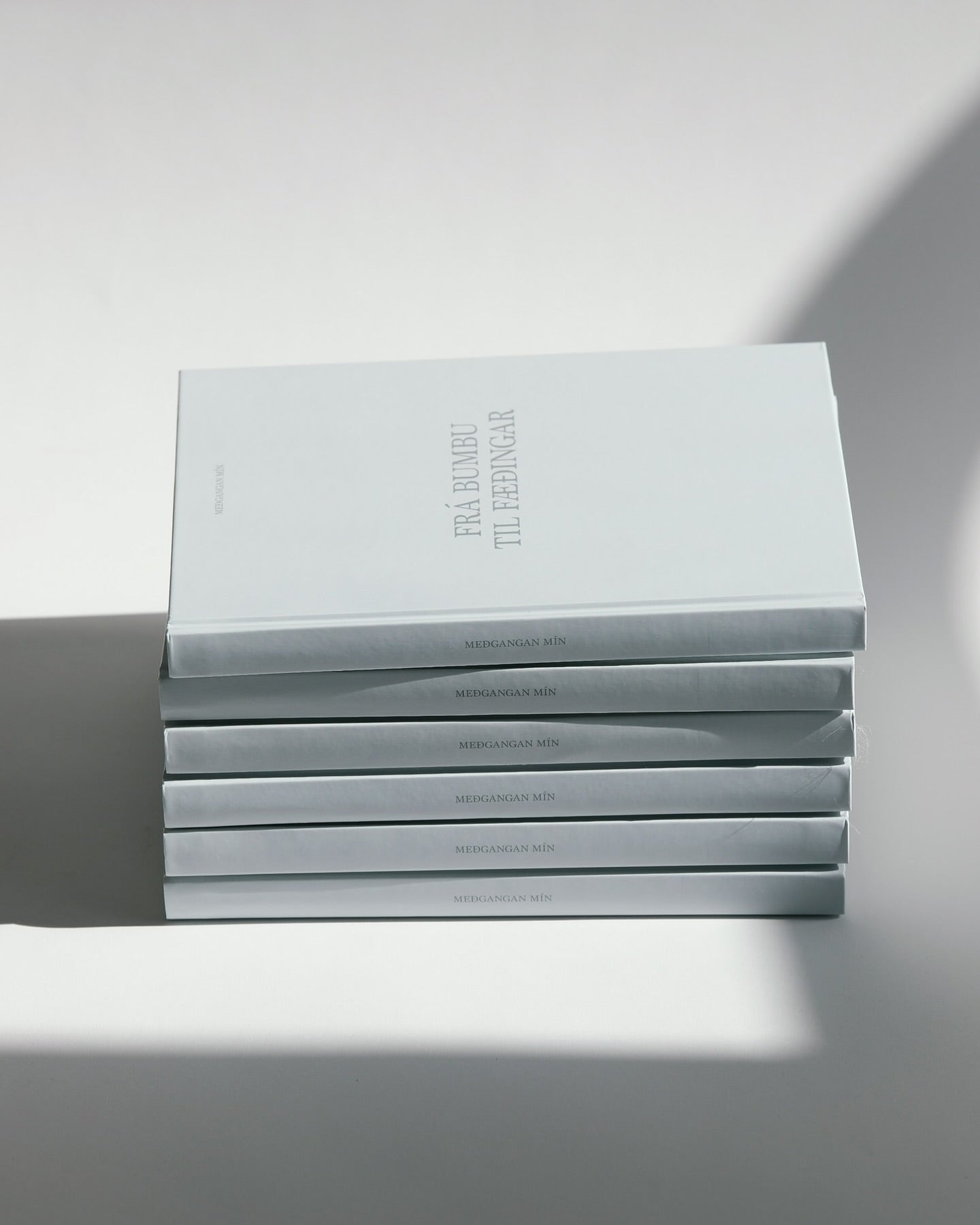 Meðgöngudagbók - FRÁ BUMBU TIL FÆÐINGAR