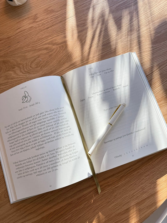 Penni - FRÁ BUMBU TIL FÆÐINGAR